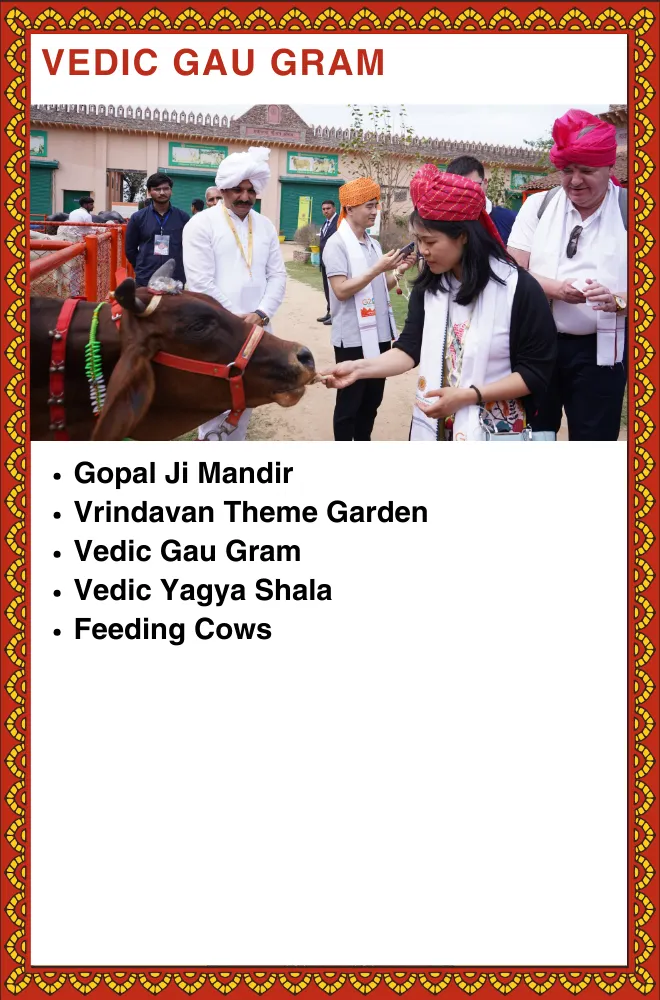 Farm Activities - Dairy Farm