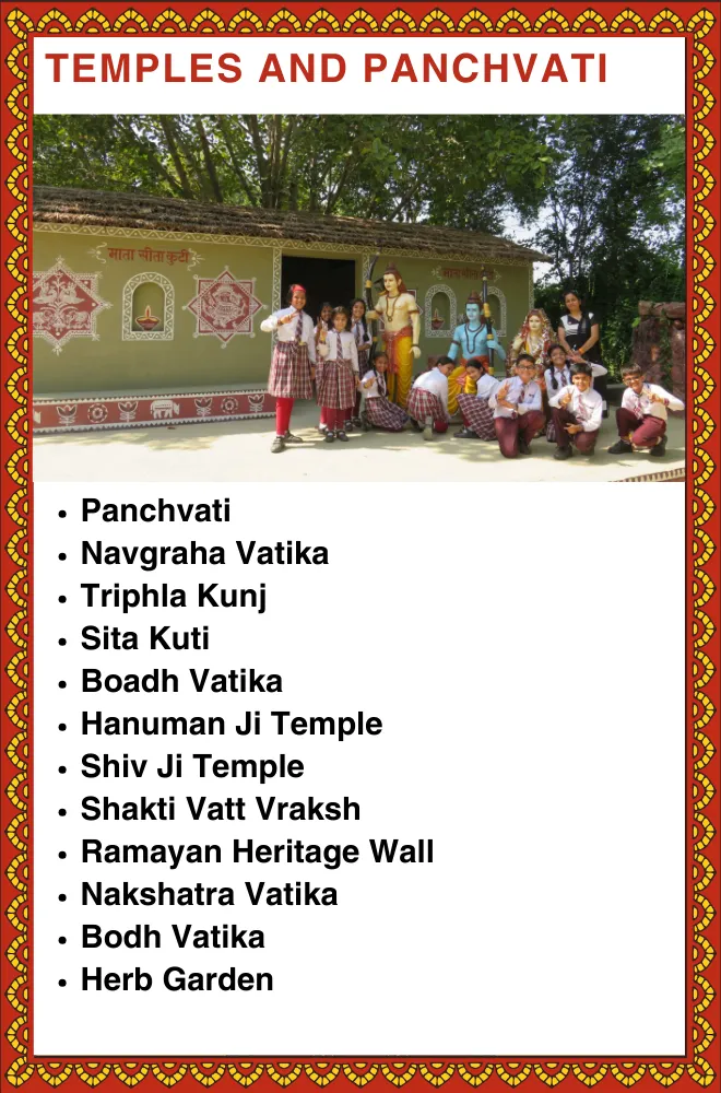 Farm Activities - Zipline Adventure